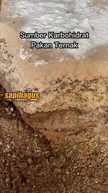 Sumber-Karbohidrat-Pakan-Ternak-